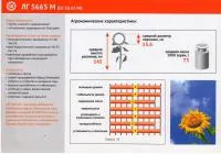 Семена подсолнечника Лимагрейн ЛГ 5665 М